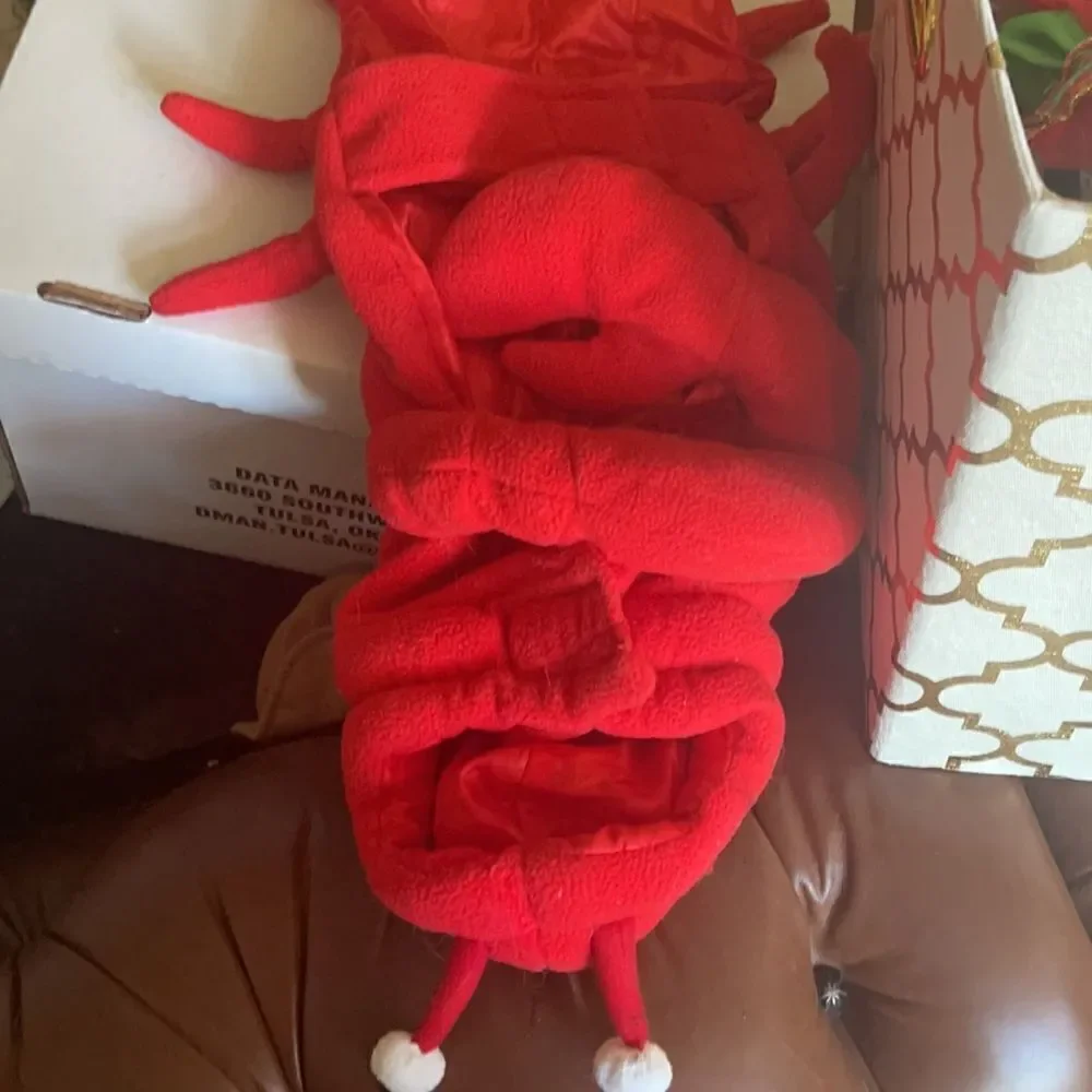 🦞 🎃 ADORABLE Red ROCK Lobster Halloween costume!